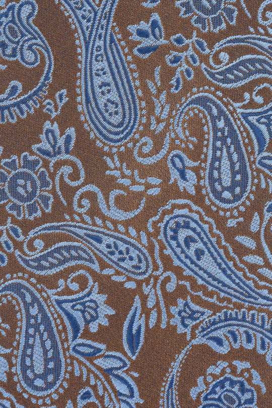 Brun & blå paisley slips PVD
